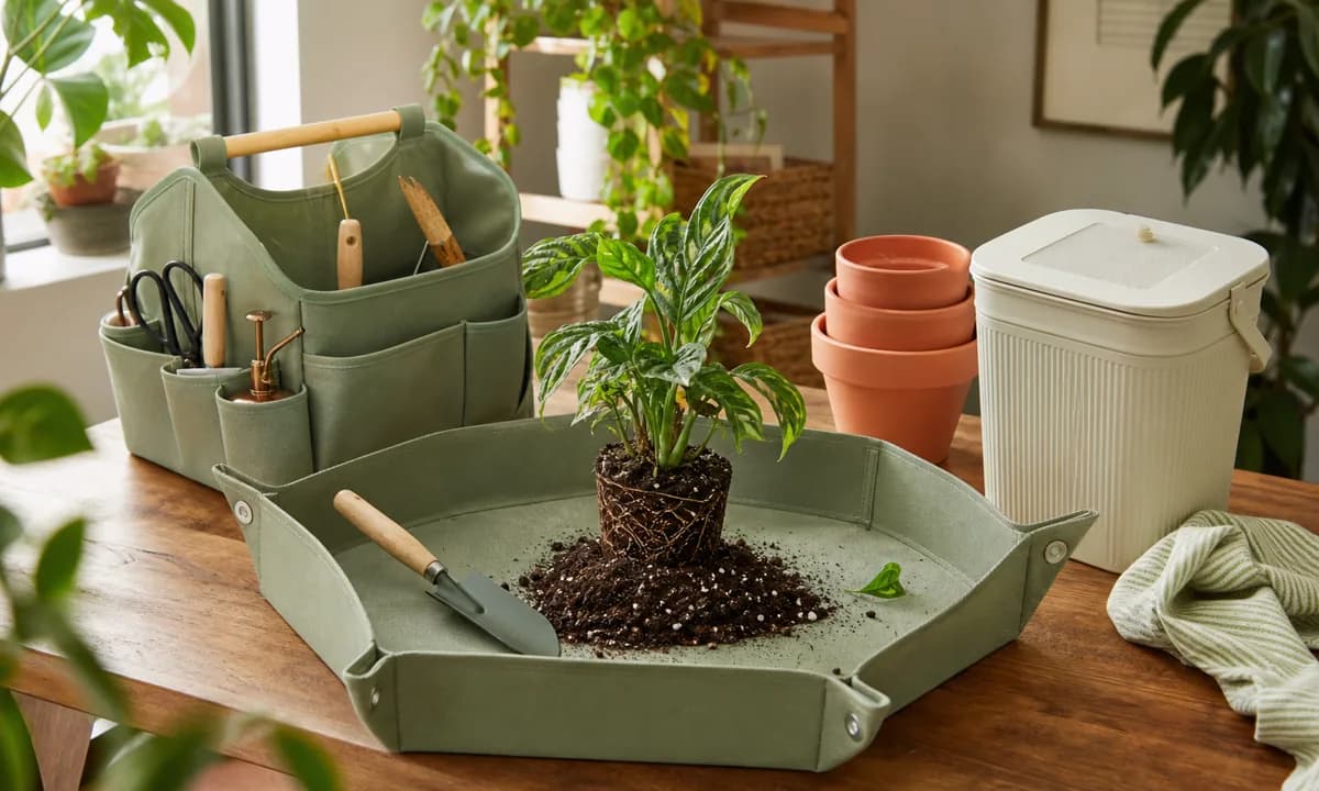 Organized houseplant care station with portable caddy, washable repotting tray, nested clean pots, closed soil bin, and secure products